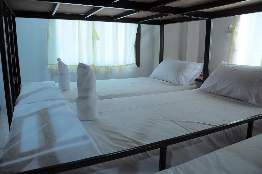 Mickey Hostel هاد رين الغرفة الصورة